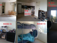 Room share for male / Lidcombe