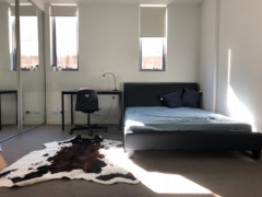 Master room at Hurstville $310