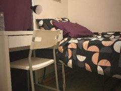 Study room for rent (Ultimo)