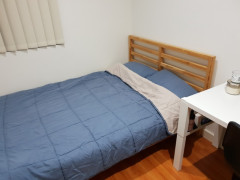 Single room in Wolli creek