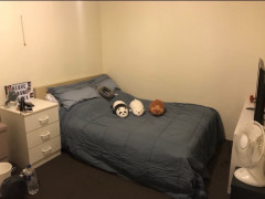 Own room for 1 person in city