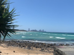 Flat mate at beach location 