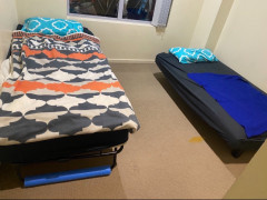 FEMALE SHARE IN SYDNEY CBD