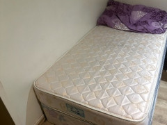 OWN ROOM CITY FOR FEMALE 