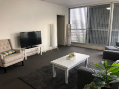 City Male share room $230