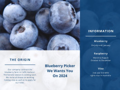 Blueberry Farm Job