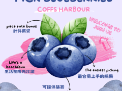 Blueberries Pickersでファームのお仕事