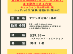  急募です！8/19〜ブルーベリーファームジョブ求人