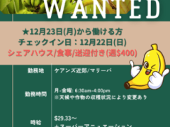 【ファームジョブ求人!!🍌】※セカンド/サードワーホリビザ