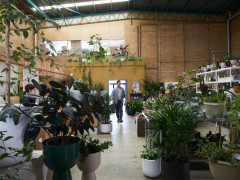 植物好きな方 The Plant Society 