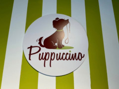 パプチーノ　ブリスベン店　グルーマーさん募集中！