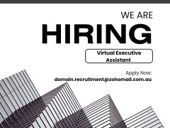 Virtual Account Executive