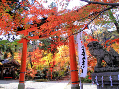 『おもてなし』が学べるリゾートバイト☆
京都にある湯の花温泉の旅館で仲居全般業務