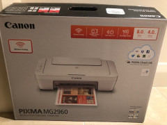 Canon PIXMA MG2960 Printer