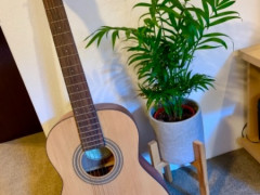 Acoustic guitar (Fender) 美品