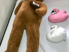 160cm Teddy bear + Swan 売ります