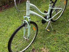 自転車　$100 Giant社