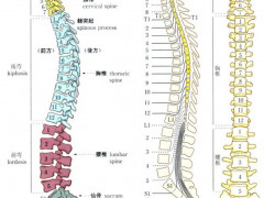 ニューマッサージメソッド　DRTで健康を取り戻そう。