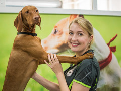 Dog Grooming Salon in Zetland