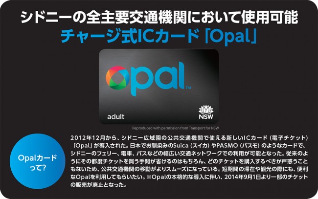 シドニーの交通 ～チャージ式ICカード「Opalカード」～ | JAMS.TV