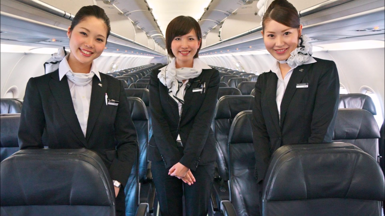 стюардессы япония
