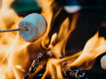 ファイヤーピットで無料の焼きマシュマロを楽しもう！