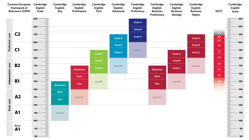 Cambridge English level